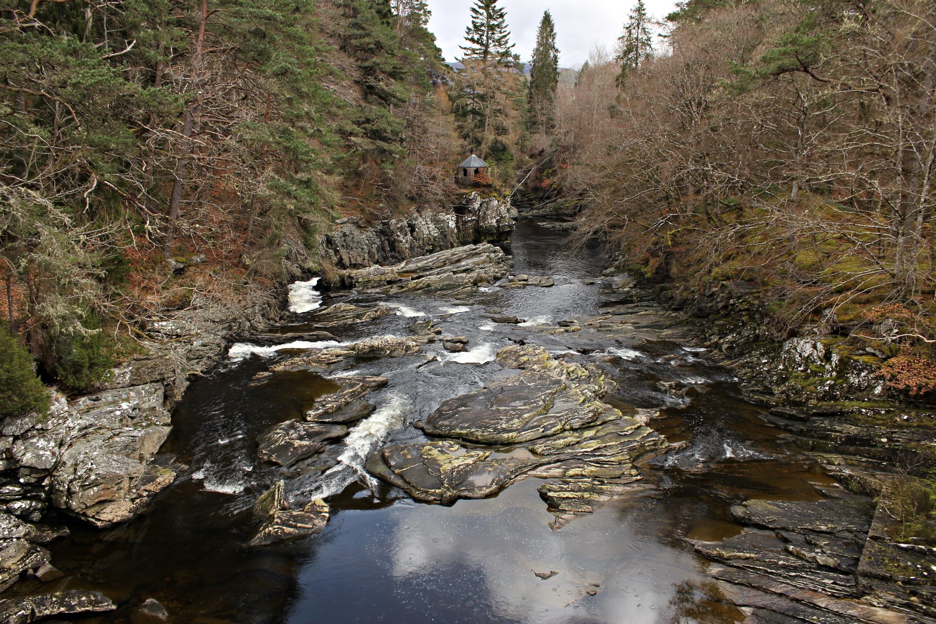 Otter surveys | Bat and Protected Species Surveys | Scotland